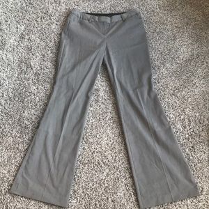 Express Editor Boot Dress Pants